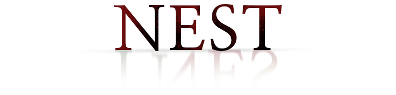 nest800.jpg